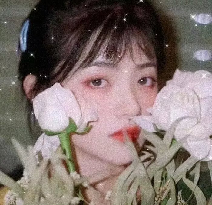 猫样少女